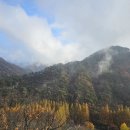 장태산휴양림 이미지