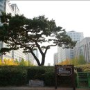 시청앞 공원 이미지