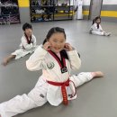 용인대 화산 태권도장 이미지