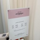 강남펫살롱 이미지