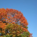 동산게임장 이미지