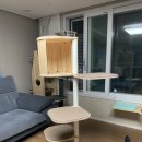 고양이 캣폴 추천 [더따슴 캣타워] 체험후기 ♪