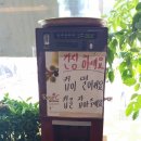 춘향골월매집