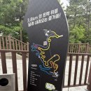 통영루지 | 통영 스카이라인 루지 솔직후기