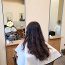 선릉역 미용실 엘도라헤어 히피펌 후기 강남히피펌 추천