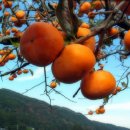 박달나무한의원 이미지