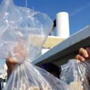 서해쭈꾸미 이미지