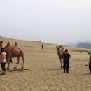 옥죽동해변 뉴스1