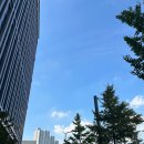 [신세계 강남점] 샤넬 코코핸들 블랙 유니콘 구입 후기 / 가격 / TIP / 보관방법