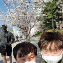 삼신수산 네이버블로그