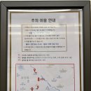 데이지호텔