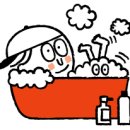 오토오아시스 경화점 이미지