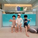 키즈 풀 하우스 이미지