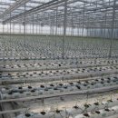 방주농원 이미지