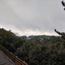 서귀동-33 네이버블로그