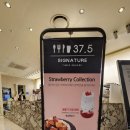 카페37.5(cafe37.5) | 영등포 타임스퀘어카페 37.5 시그니처에서 먹은 정통 미국식 브런치