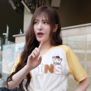 리즈