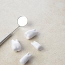 정플란트치과의원 이미지