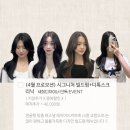 비오티디헤어 네이버블로그