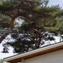 생활권25 이미지