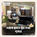 반포대로23길 13 | 서초역 카페 빈체로 분위기 좋고 가성비까지 챙긴 브런치 카페 후기