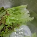 과일세상 | 모오아과일세척기 상추 세척 후기