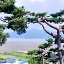 바다속펜션 | 강화도 가족여행 (1) 석모도 숲속 바다 풍경 펜션 후기