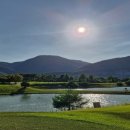 동강시스타 이미지