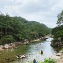 느티울여행학교 네이버블로그