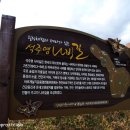 영천동 법호촌 이미지