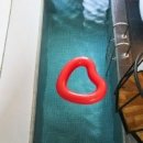 올댓워터 | 올댓워터 풀빌라 & 글램핑 직접 다녀온 솔직 후기