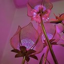 차성남로65번길 | 삶이 답답할 때 부산신점으로 향하는 마음