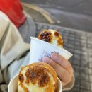 봄씨