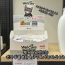 24시보듬동물병원 이미지