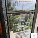 범어사 근처 숨은 카페 맛집, 베이커리도 훌륭한 TEA1 재방문 후기