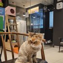 노아 동물병원 이미지