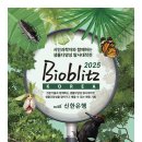 신한은행 이미지