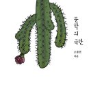데시그램북스