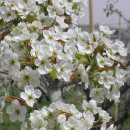 주원농장 이미지