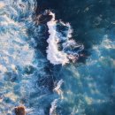 태풍카센타 이미지