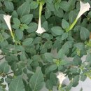 금련산역 이미지