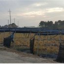 월촌지구대 이미지