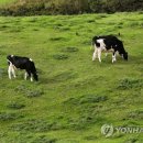 초지축산 이미지