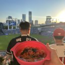 329 | 잠실야구장 직관 후기 | 3루 네이비석 329블럭 15열 시야