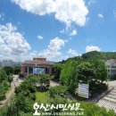 김도형특허법률사무소