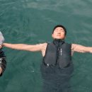 유한회사 배가유통 이미지