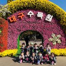 🌷견학-대구수목원 국화축제🌷 이미지