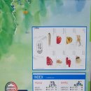 야루정