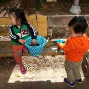 보영농장 이미지