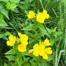 세상사는이야기 이미지